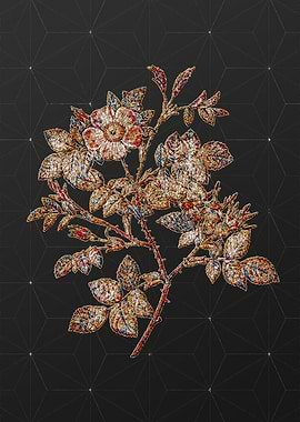 Rainbow Mosaic Botanical