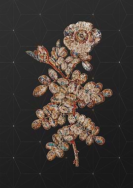 Rainbow Mosaic Botanical