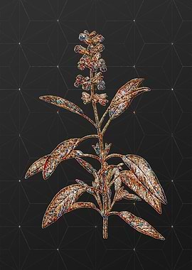 Rainbow Mosaic Botanical