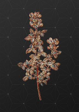 Prismatic Mosaic Botanical