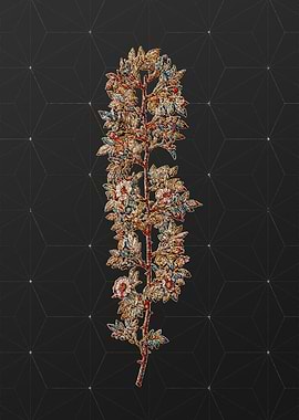 Prismatic Mosaic Floral