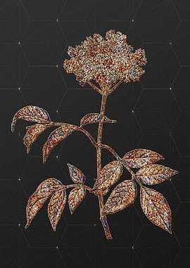 Prismatic Mosaic Floral