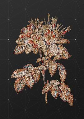 Rainbow Mosaic Botanical