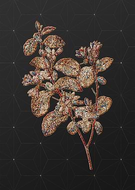 Rainbow Mosaic Botanical