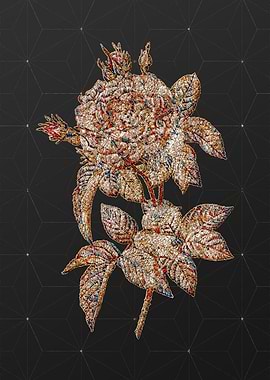 Rainbow Mosaic Botanical