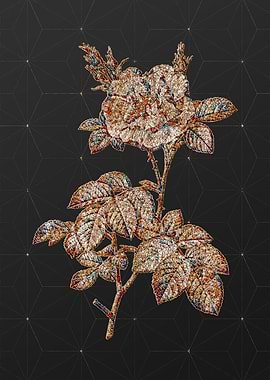 Rainbow Mosaic Botanical