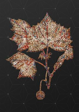 Prismatic Mosaic Botanical