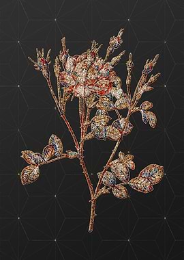 Stained Glass Botanical