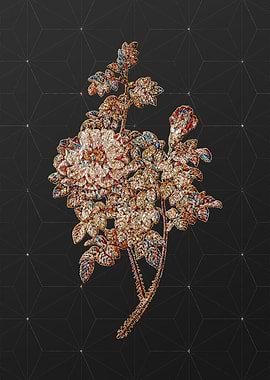 Rainbow Mosaic Botanical