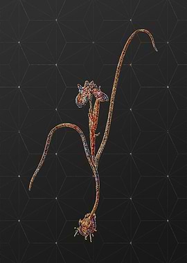 Stained Glass Botanical