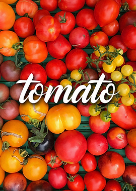 TOMATO