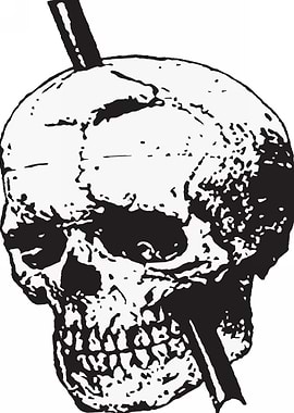 Black and White Skull of P