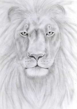 Le premier Lion