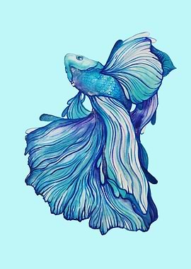 Watercolour Fighting Fish