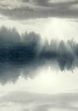 the floating forest