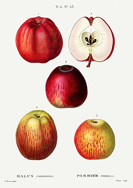 Traite Arbres 1819 HQ Orig