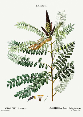 Traite Arbres 1819 HQ Orig