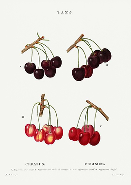 Traite Arbres 1819 HQ Orig