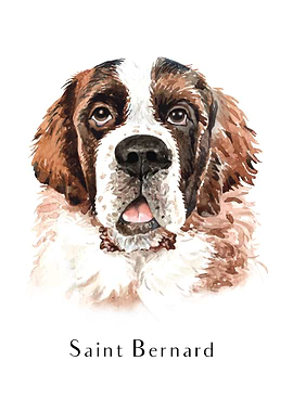 Saint Bernard