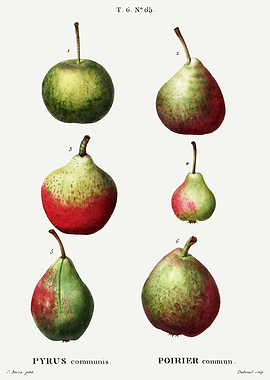 Traite Arbres 1819 HQ Orig