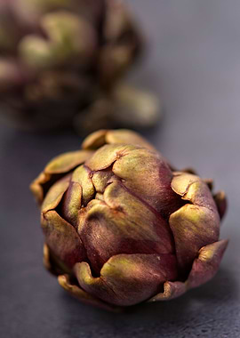 artichokes stillife