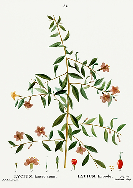 Traite Arbres 1819 HQ Orig