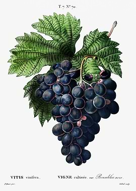 Traite Arbres 1819 HQ Orig