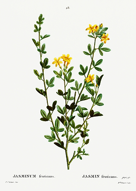 Traite Arbres 1819 HQ Orig