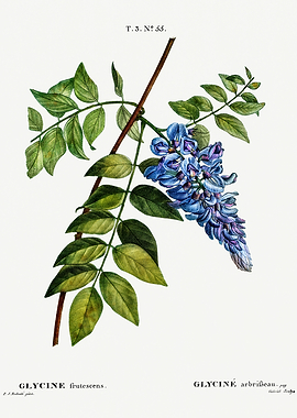 Traite Arbres 1819 HQ Orig