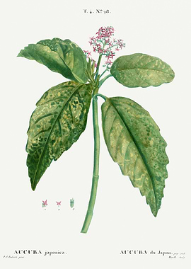 Traite Arbres 1819 HQ Orig