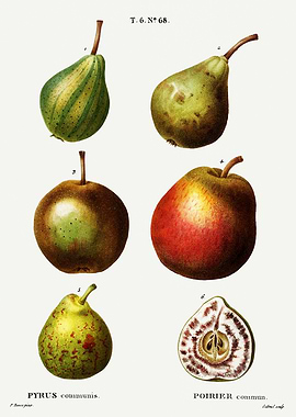 Traite Arbres 1819 HQ Orig