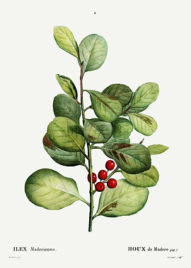 Traite Arbres 1819 HQ Orig