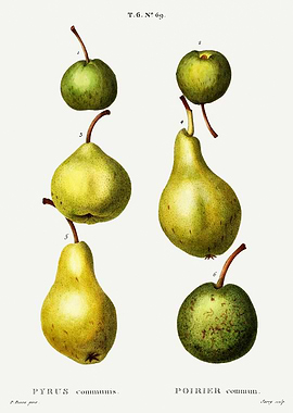 Traite Arbres 1819 HQ Orig