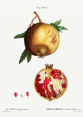 Traite Arbres 1819 HQ Orig