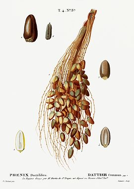 Traite Arbres 1819 HQ Orig