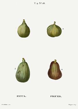 Traite Arbres 1819 HQ Orig