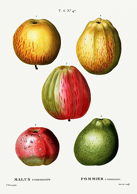 Traite Arbres 1819 HQ Orig