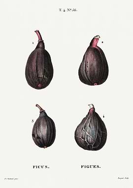 Traite Arbres 1819 HQ Orig