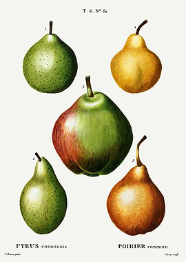 Traite Arbres 1819 HQ Orig