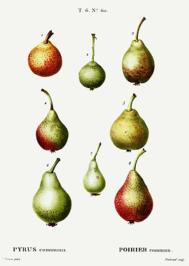 Traite Arbres 1819 HQ Orig