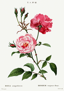 Traite Arbres 1819 HQ Orig