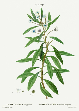 Traite Arbres 1819 HQ Orig