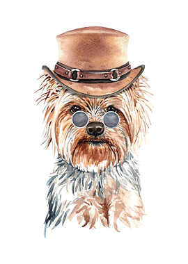 Yorkshire Terrier