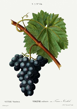 Traite Arbres 1819 HQ Orig