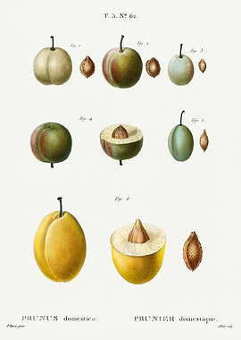 Traite Arbres 1819 HQ Orig