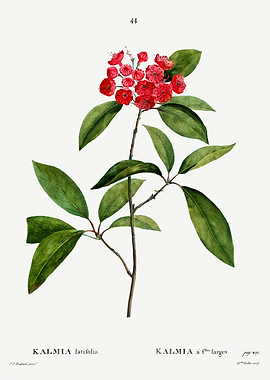 Traite Arbres 1819 HQ Orig