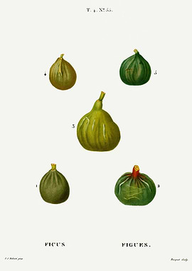 Traite Arbres 1819 HQ Orig