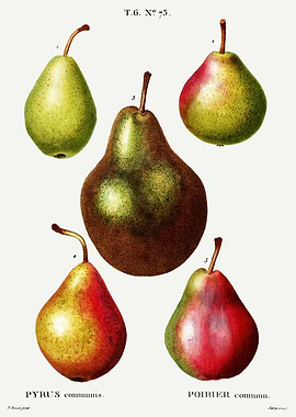 Traite Arbres 1819 HQ Orig