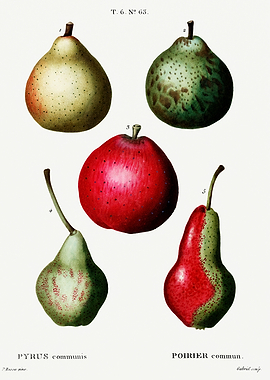 Traite Arbres 1819 HQ Orig