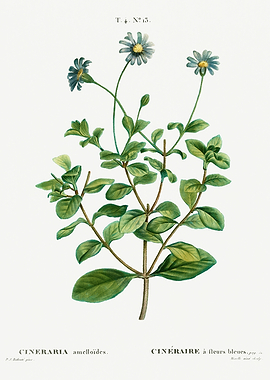 Traite Arbres 1819 HQ Orig